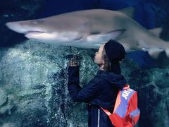 -暹罗海洋世界