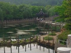 android_upload_pic-旺山景区