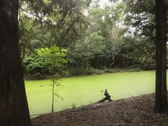 -广富林郊野公园