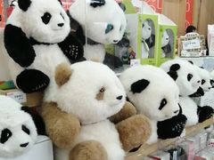 -熊猫邮局(少城店)