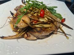 -餮熹Tipsea法餐(吉大店)