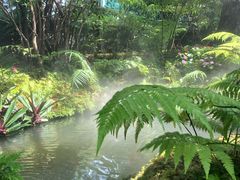 -Chom Cafe and Restaurant