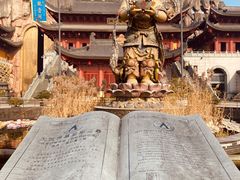 -上海东林寺(金山区)