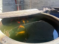 -北京古城老院厉晓麟精致菜