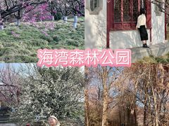 -上海海湾国家森林公园