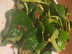凉拌折耳根-向川南·水煮鱼·川菜(和平里店)