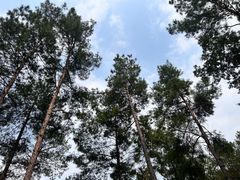 -华凌山庄·隐湖栖