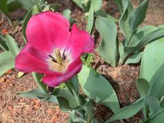 -长春公园(普阳街道)