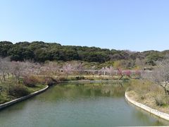 -苏州上方山国家森林公园