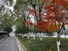 -清漾毛氏文化村