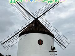 -济州森林小火车生态公园