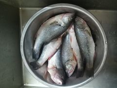 -四道口水产市场
