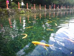 -丽江玉水寨