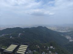 -大金鹰园