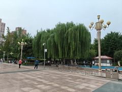 -西清公园