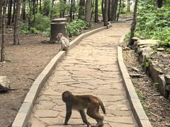 -山西通天峡景区