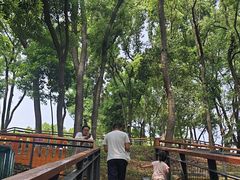 -马王堆汉墓遗址