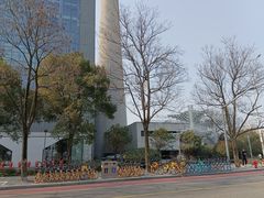 -上海当代艺术博物馆