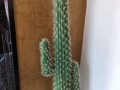 -小董哥烤串(故宫店)
