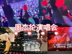 -济南奥林匹克体育中心体育场