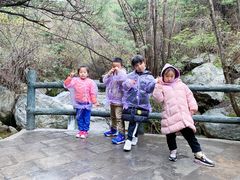 -王顺山国家森林公园