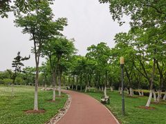 -天鹅湖体育公园
