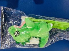 -YONEX苗江运动城(源深店)