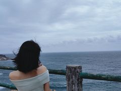 -广东惠东海龟国家级自然保护区
