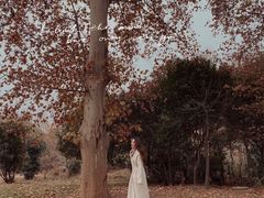 -河南省黄河迎宾馆