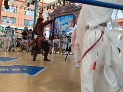 -海合安武汉极地海洋公园