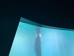 -青岛海底世界-水族馆