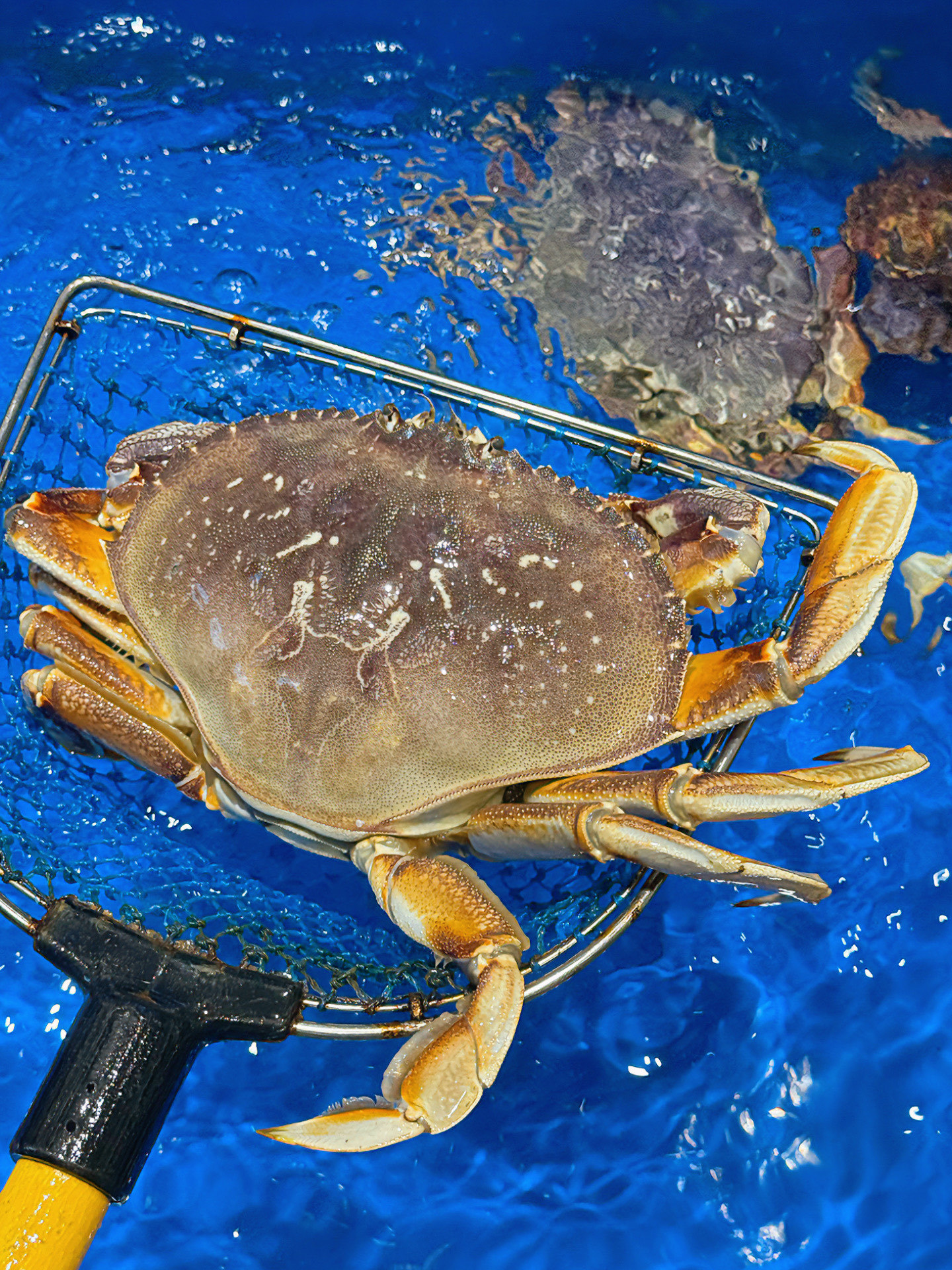 桐泾公园旁这家被长辈直夸