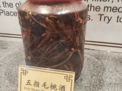 -九江双蒸博物馆