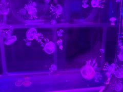 -沈阳海洋探索中心