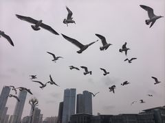 -星海广场