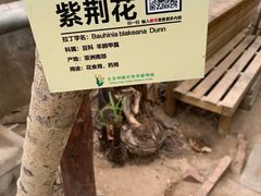 -呀路古热带植物园