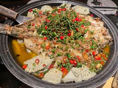 藤椒味烤海鲈鱼-烤匠麻辣烤鱼(双流明城购物中心店)