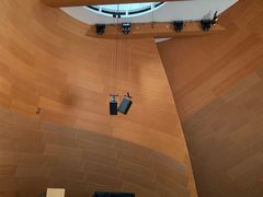 -华特·迪士尼音乐厅