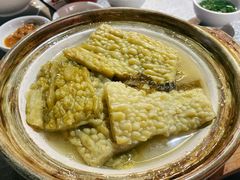 咸肉蒸苦瓜-吴记富苑(朝阳店)