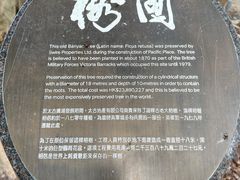 -太古广场