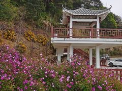 -广州市石门国家森林公园