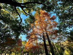-白马涧龙池景区