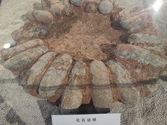 -大同煤炭博物馆