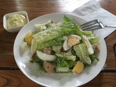 1901&nbsp;Cafe-1901 Cafe(西四店)