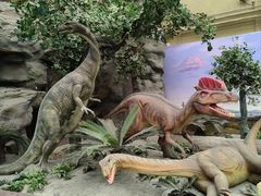 -国家自然博物馆