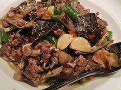 邵阳小沙鳖-冰火楼(梦泽园店)