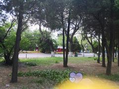 -北陵公园