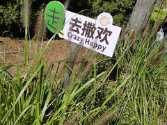 -羊亭河湿地公园