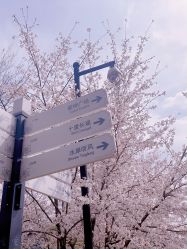 -玄武湖景区-情侣园游乐场