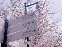 -玄武湖景区-情侣园游乐场